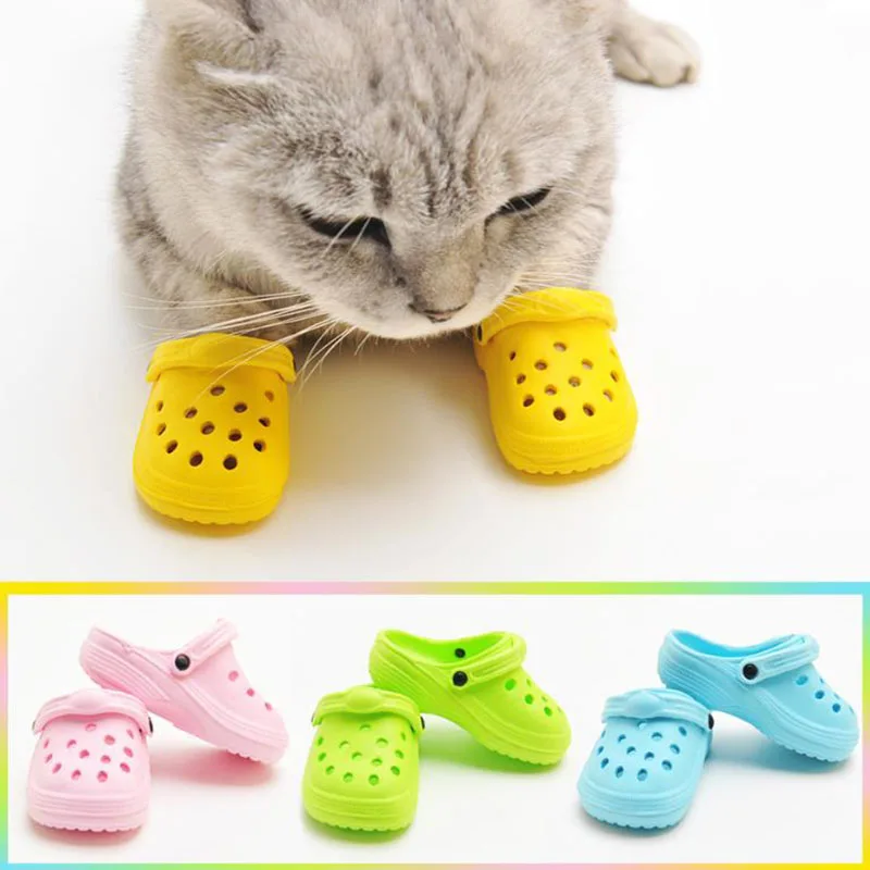 2Pcs/Set Pet Dog Sand Beach Sh - Shoe Polish Cream 评论和价格